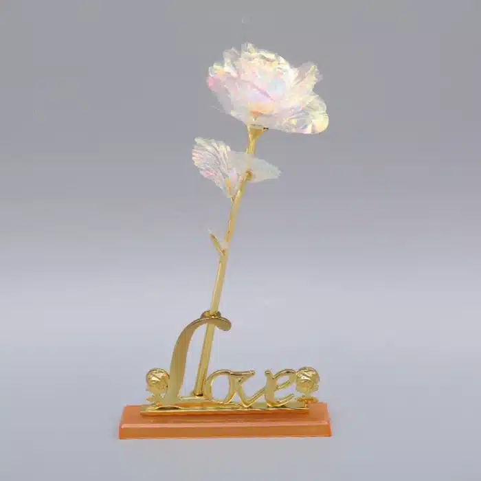 Rose éternelle blanche 2