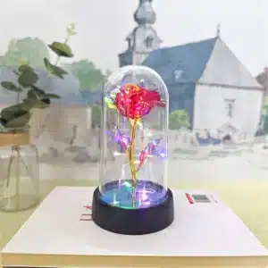 Rose éternelle lumineuse sous cloche 1