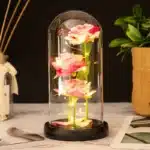 3 roses éternelles cloche 2