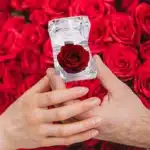 Rose éternelle rouge 2