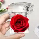 Rose éternelle rouge 1
