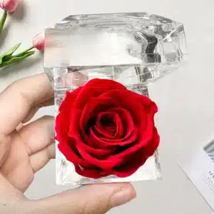 Rose éternelle rouge 1