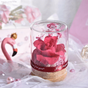 Rose éternelle couvercle verre