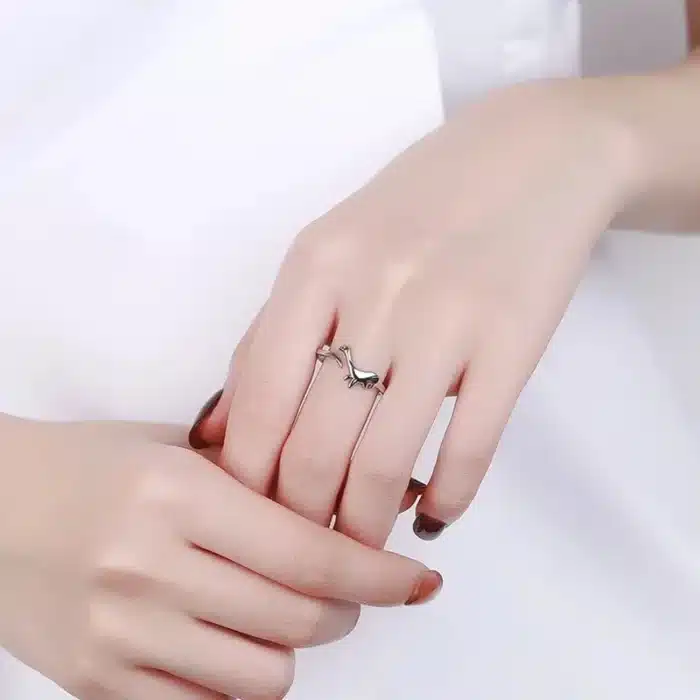 Bague dinosaure couple 2