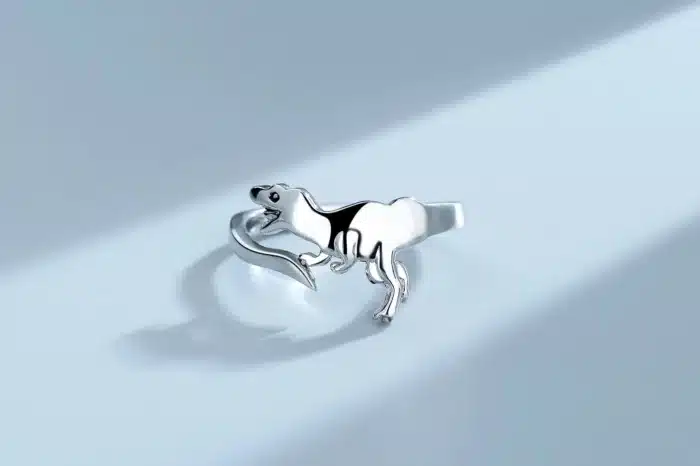 Bague dinosaure couple 17