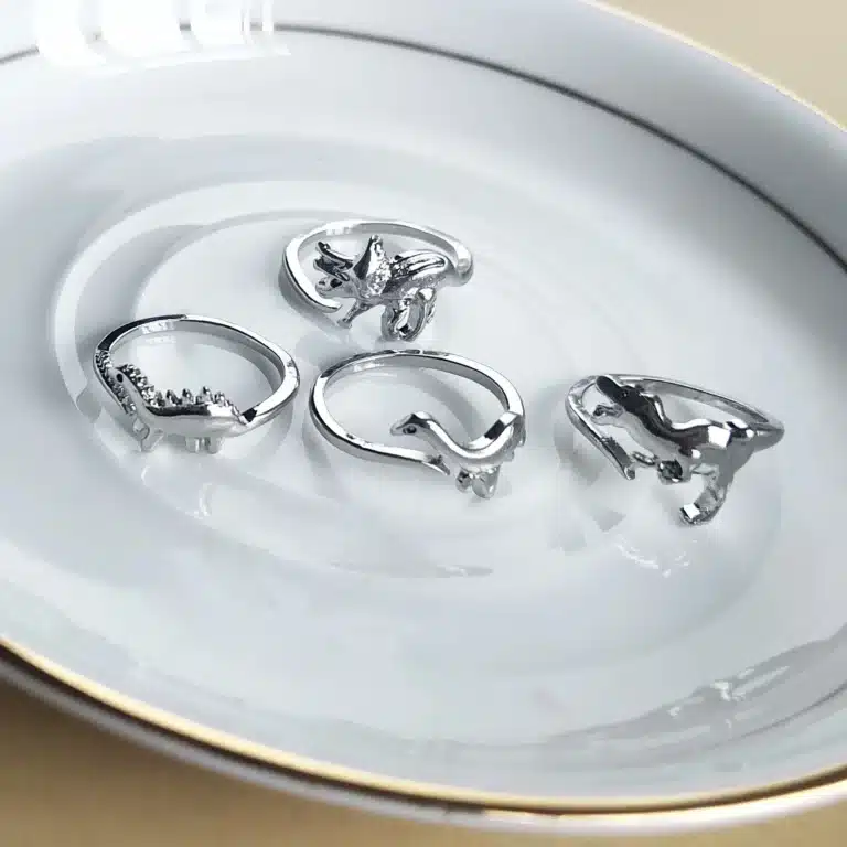 Bague dinosaure couple 12