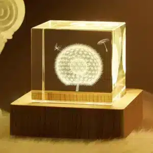 Cube verre couple pissenlit 1