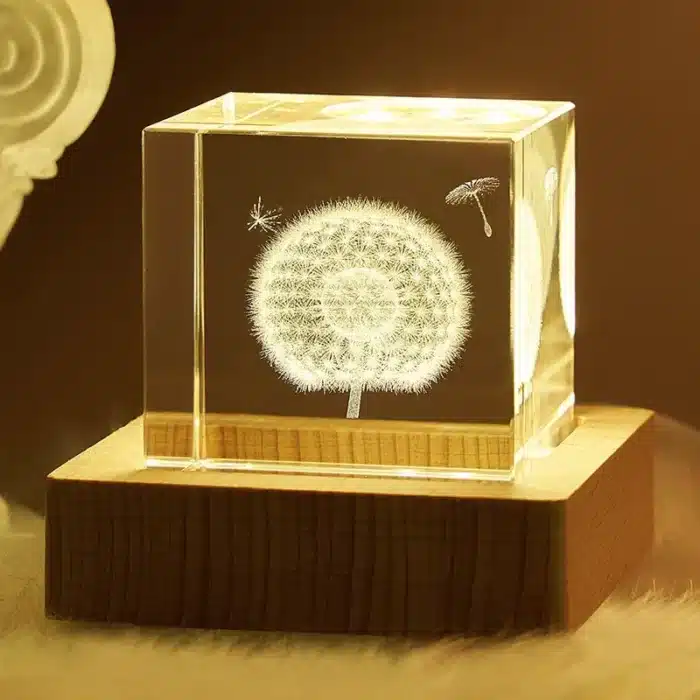 Cube verre couple pissenlit 1
