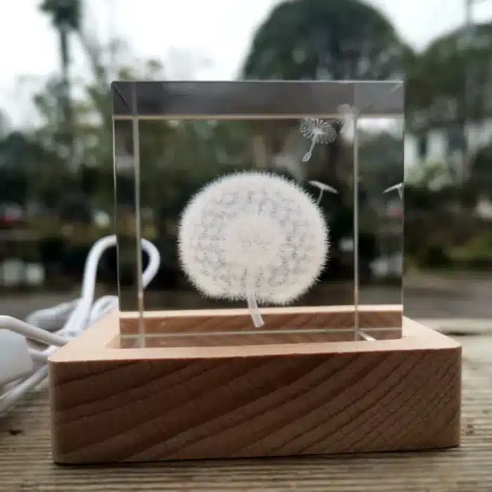 Cube verre couple pissenlit 2