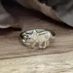 Bague dinosaure couple 5