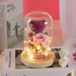 Ourson rose éternelle avec lumière 4