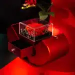 Boite pomme avec rose éternelle et collier rouge 3