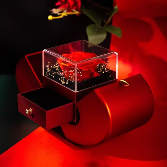 Boite pomme avec rose éternelle et collier rouge 3