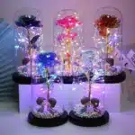 Rose éternelle lumineuse colorée sous cloche 4