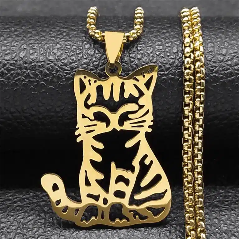 Collier couple chat Ragdoll 2
