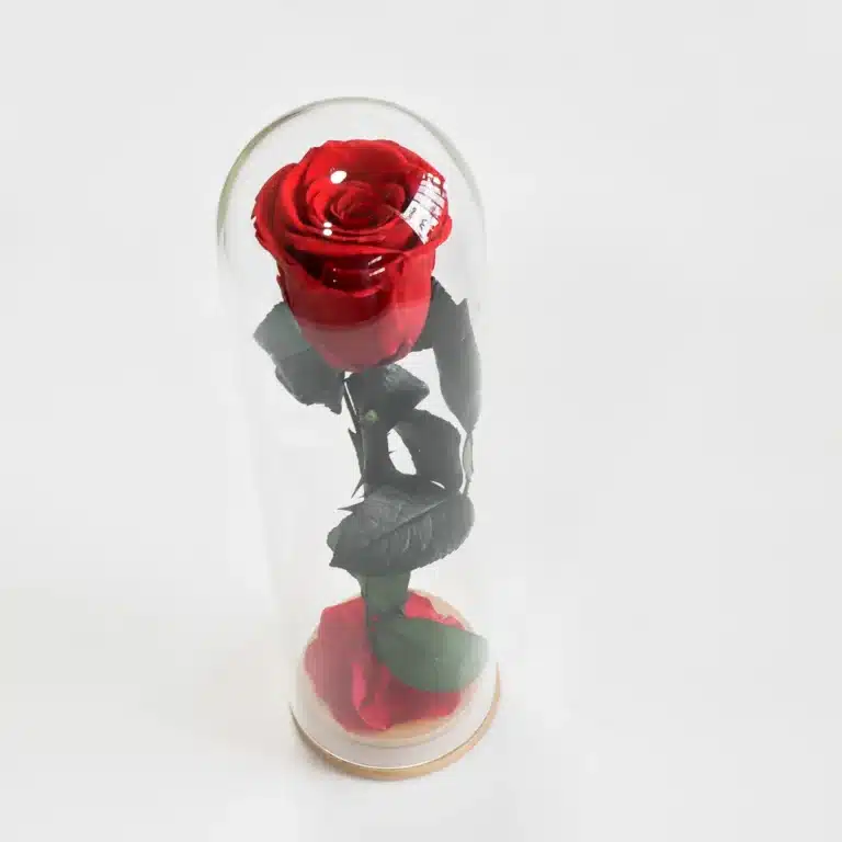Rose éternelle cadeau femme 4