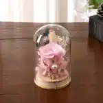 Mini rose éternelle cloche Saint Valentin 4