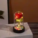 Mini rose éternelle cloche socle noir 4