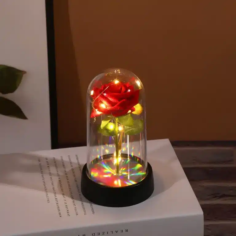 Mini rose éternelle cloche socle noir 4