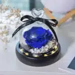 Rose éternelle cloche La Belle et La Bête 1