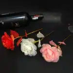 10 roses éternelles brillantes Saint Valentin 2