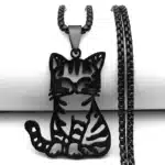 Collier couple chat Ragdoll 1