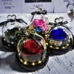 Rose éternelle cloche La Belle et La Bête 3