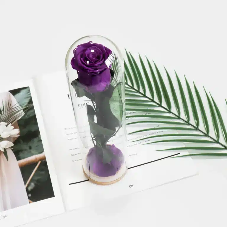 Rose éternelle cadeau femme 5