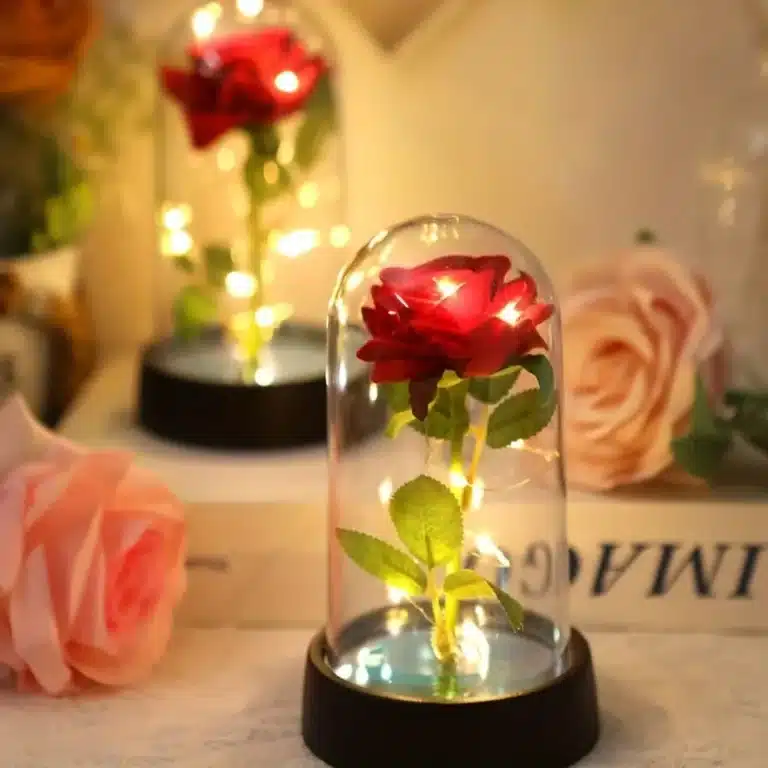 Mini rose éternelle cloche socle noir 1
