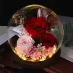Bulle roses éternelles Saint Valentin 1