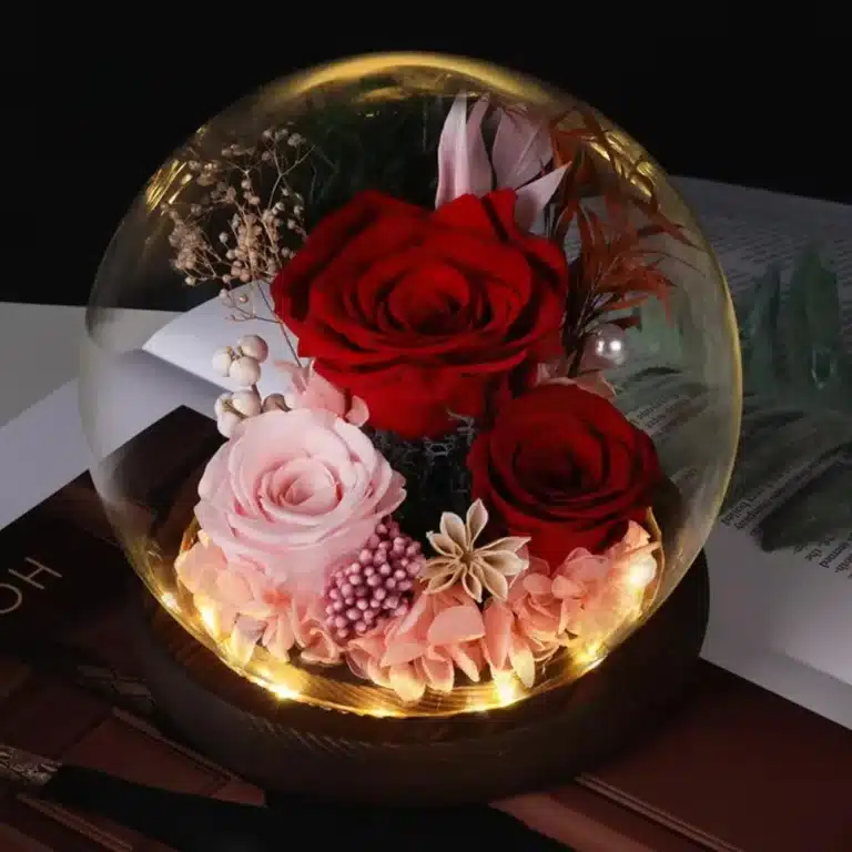 Bulle roses éternelles Saint Valentin 1