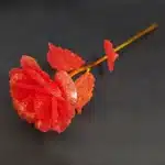 10 roses éternelles brillantes Saint Valentin 6