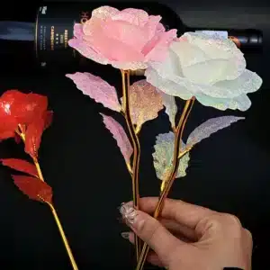 10 roses éternelles brillantes Saint Valentin 1