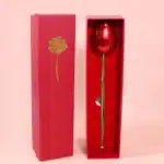 Rose éternelle avec boite à bijoux et collier projection je t'aime 5