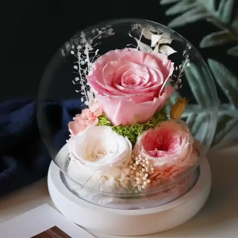 Bulle roses éternelles Saint Valentin 2