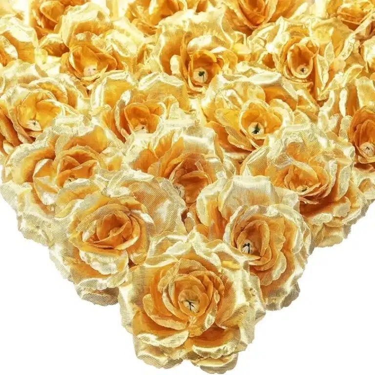25 roses éternelles colorées 3