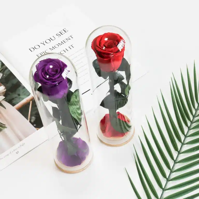 Rose éternelle cadeau femme 1