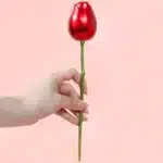 Rose éternelle avec boite à bijoux et collier projection je t'aime 3